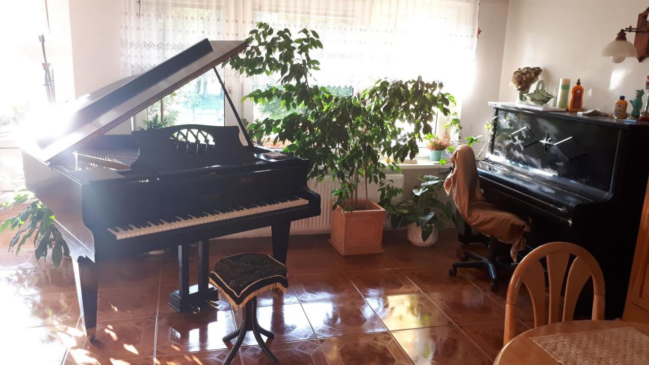 Appartamento Penzion PIANO Liptovský Mikuláš Esterno foto