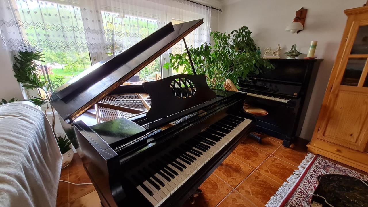 Appartamento Penzion PIANO Liptovský Mikuláš Esterno foto